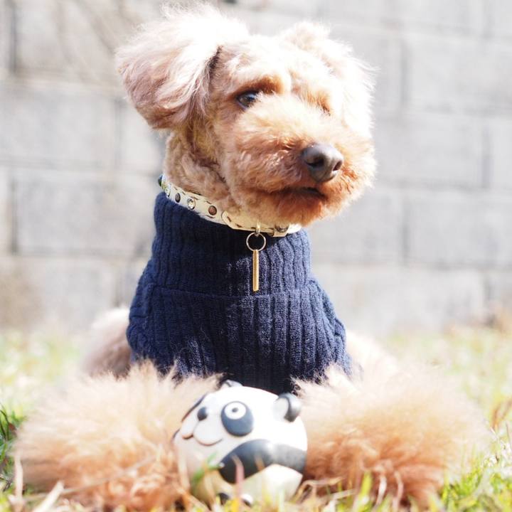 D7049f4d 8a0f 4bda 973e b02903790e99 1551000699322