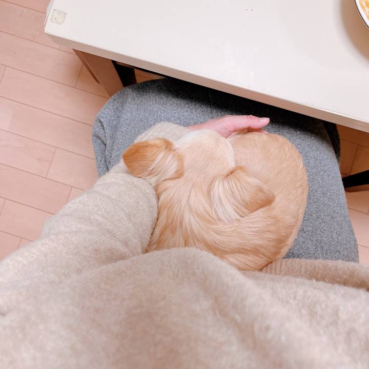 D704a206 f005 43c9 bd8f 50ec78408880 1674559675081