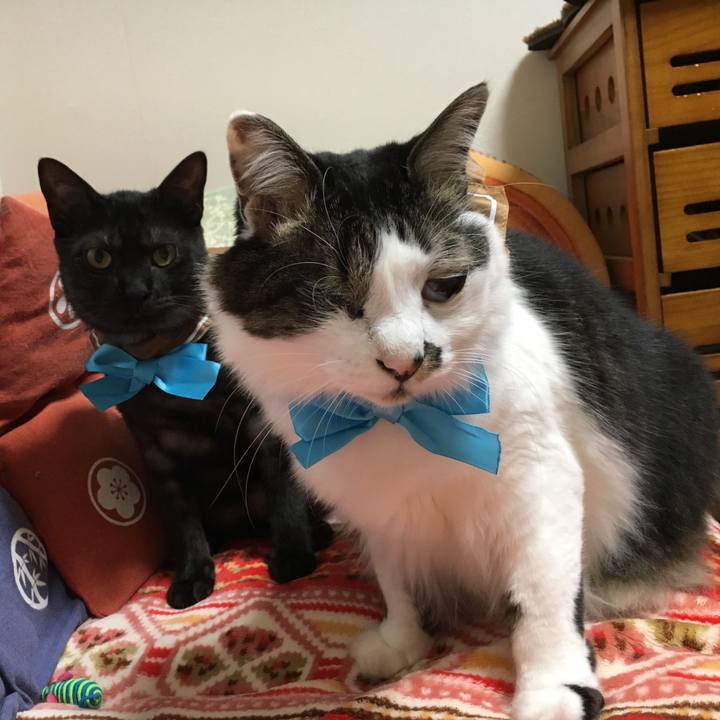 D7050197 c9a8 43da 830e 454f05ab11f4 1549072901696