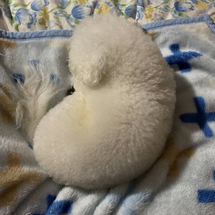 D7051f16 9d10 4b02 ba0e 278a95f98bec 1578051494752