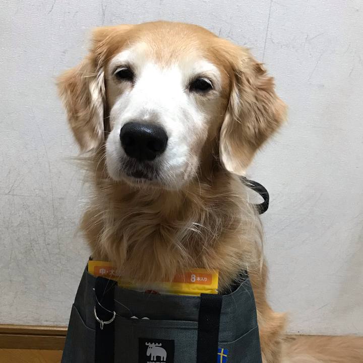 D70520f6 ff4e 4c19 8ba0 76b806294288 1583674728508