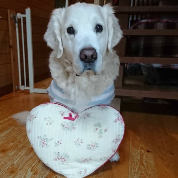 D705683a b83d 4f7c 8aaf 0dba3b200742 1519170197026