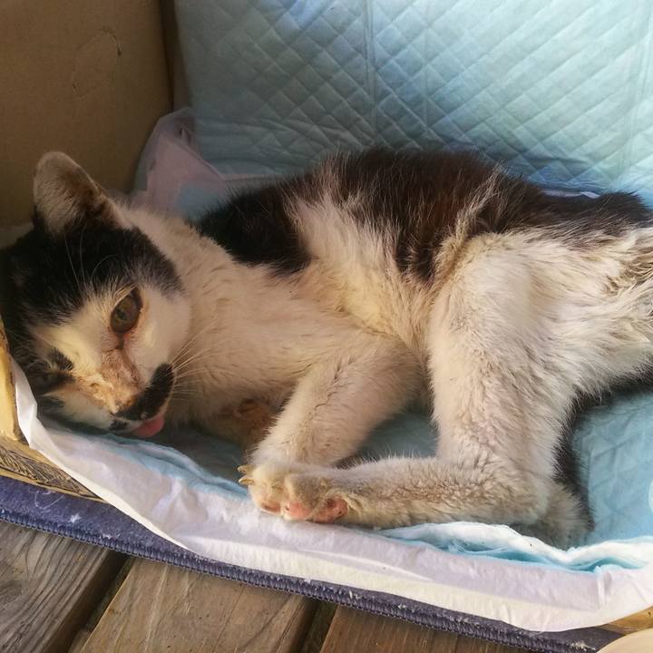 D7056d49 4e85 4194 86e4 152bd832a1bc 1559471742818