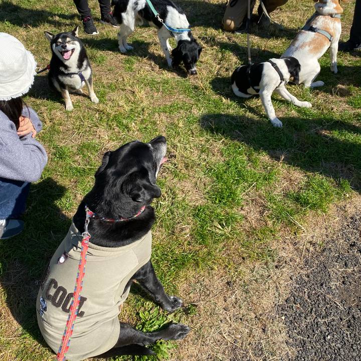 D705c13e 38e1 4deb bfb7 028827189446 1667918640736