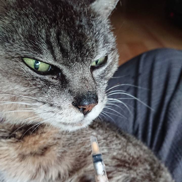 D7062d3a 3ab0 42cf b941 ddaea5320831 1597532325120