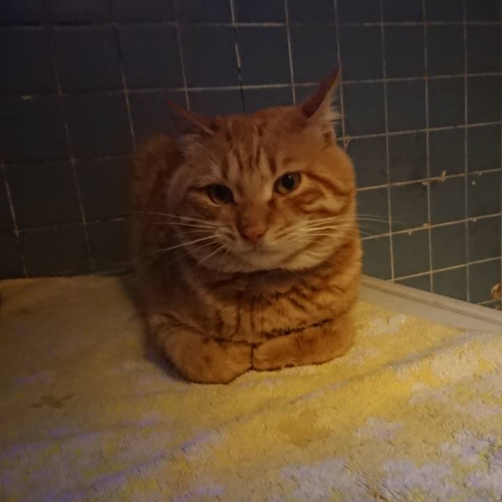 D706414e a839 4576 a804 c196cb9d68bc 1652871083464