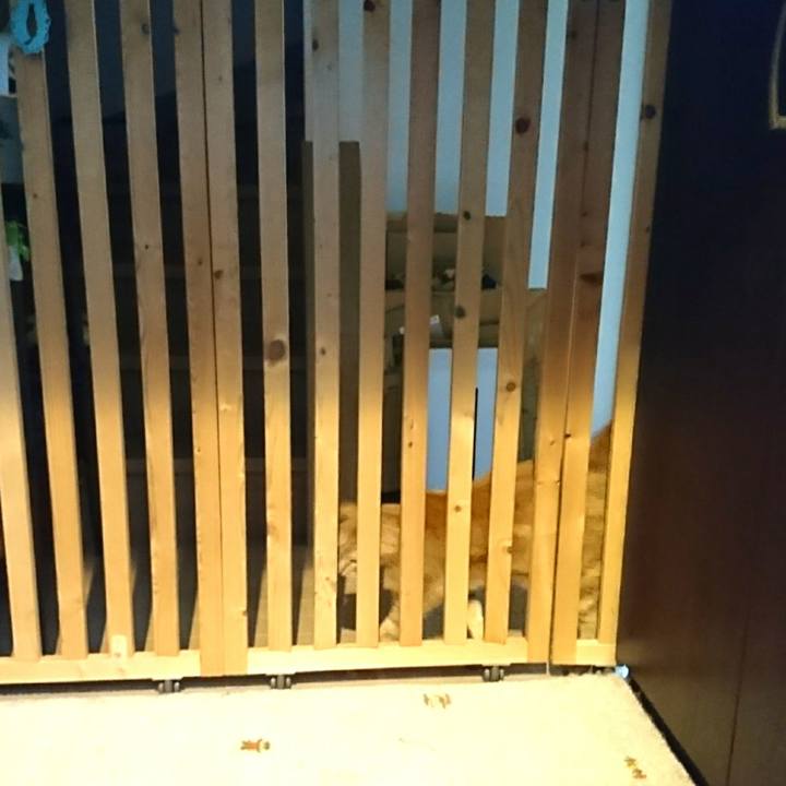 D7066056 d0db 443b 8bfd f0876830650f 1539853671758