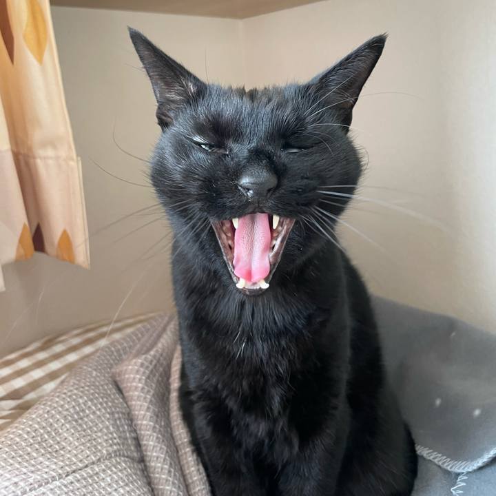 D706c286 cf61 4273 aae8 5a0473922cbd 1672747238866