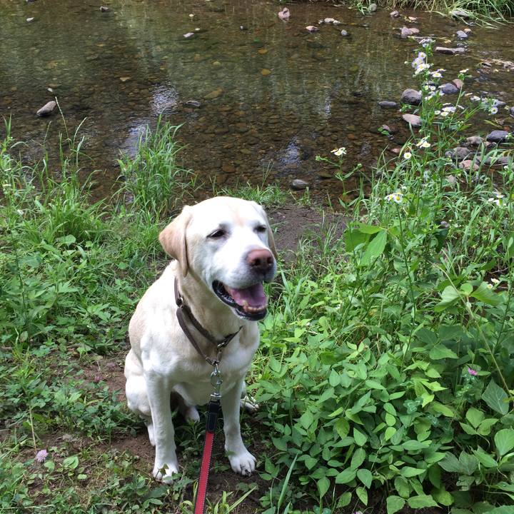 D706ee4c b5b2 4e57 a083 ec720354f01c 1527858221806