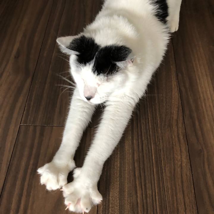 D706f72f da4d 4871 959e a16755ccfd2b 1537677480719