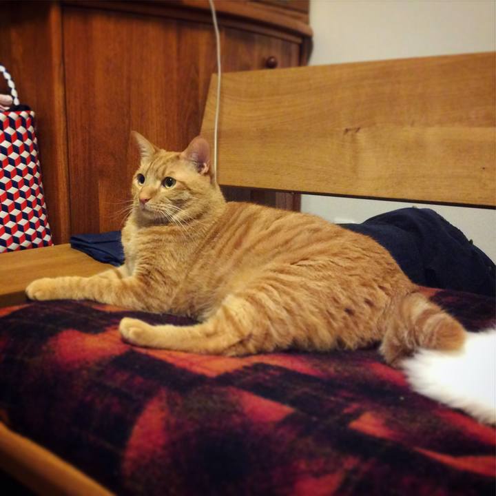 D7075fba afaa 4848 82a9 7fe2cbd3f055 1555154832263