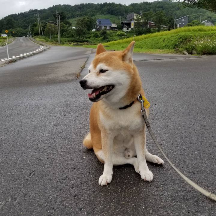 D70766c9 dde6 4091 8351 dbd5fa43ce84 1566976030738