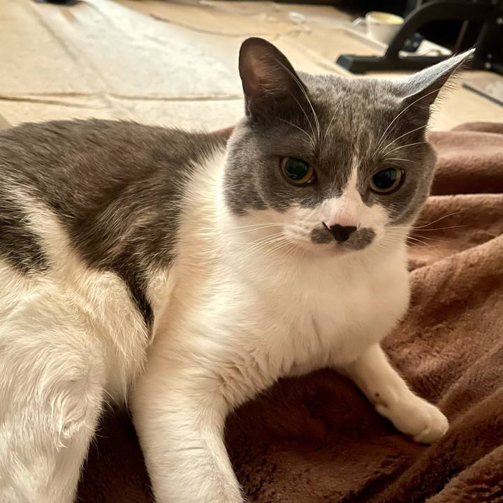 D7076c6f 512f 4afe 90e1 98d504b80687 1669330545430