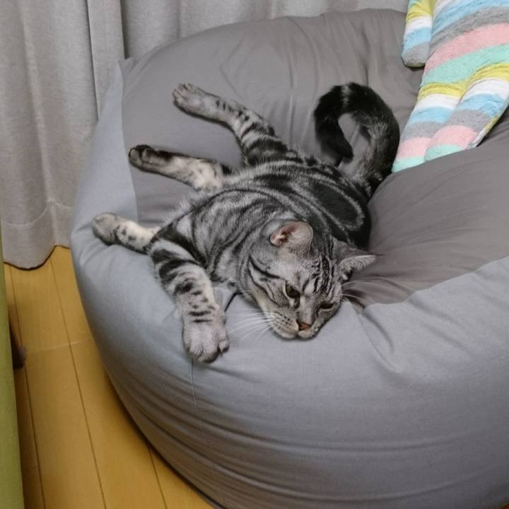 D7079f74 960b 4158 919f cd1a3fc1db54 1510998216163