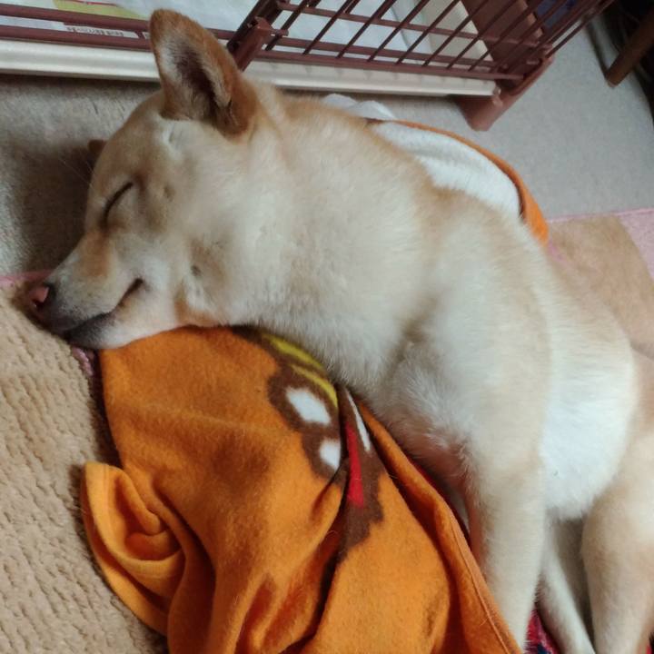 D707c47d 0acc 49e8 992c f66619f1d2e5 1520080233013