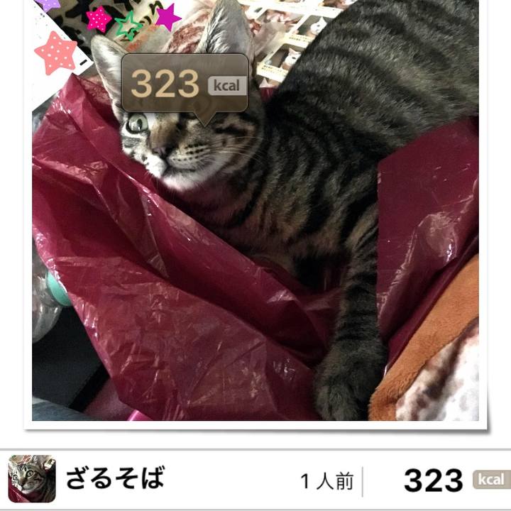 D707e493 356b 4d8f 911e 6cc5ea690e56 1537285216405