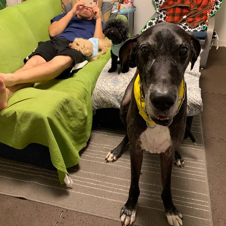 D7082002 6822 4a6c 8ce0 288c724e82ca 1565735355065