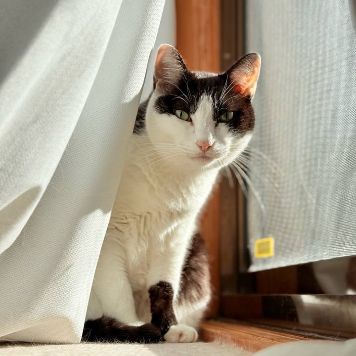 D70836d2 a0dc 48df 83ef 0c6949d2b760 1733883104876