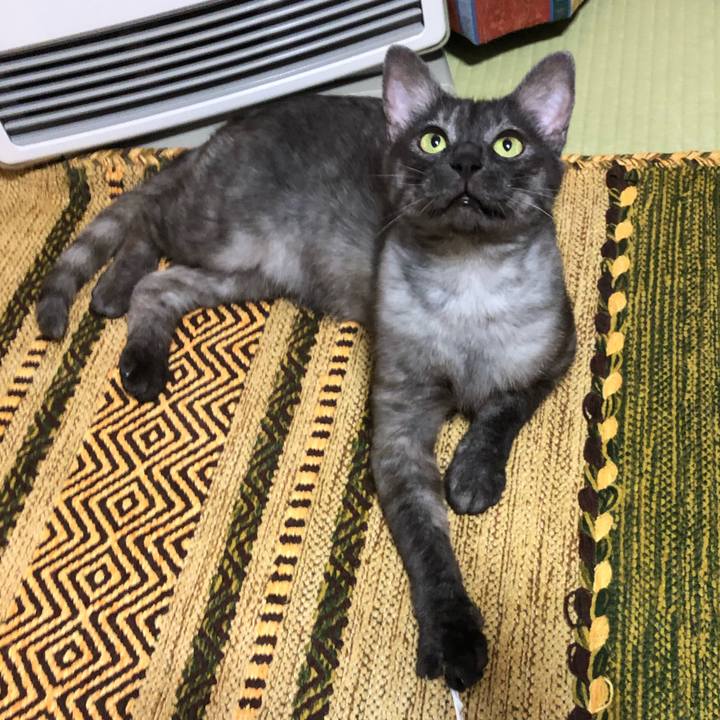 D7084474 e811 4aab 88de bfc17aede18c 1594566866035