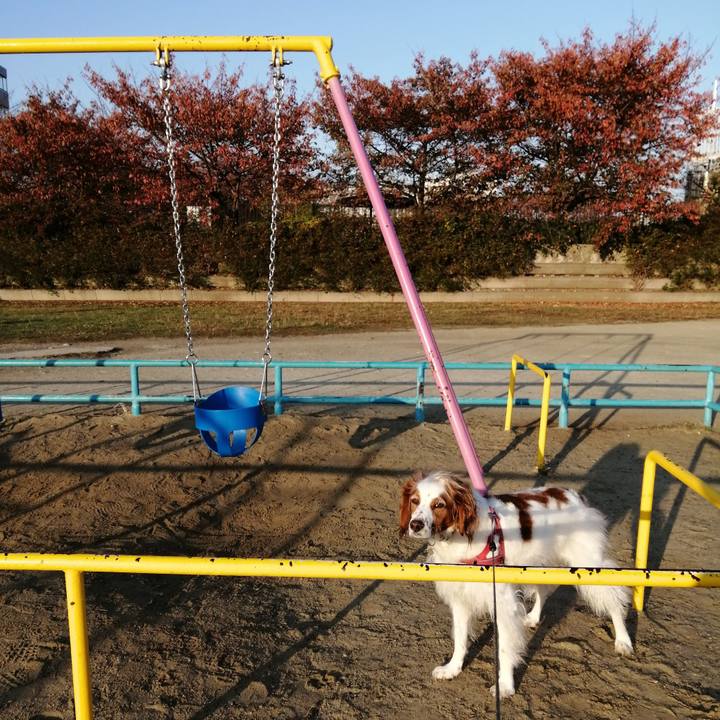 D7086a28 59f5 4345 b233 9c454f145bb8 1605570889740