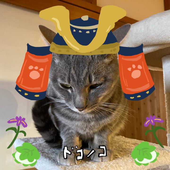 D7088bbc b1b2 46fa 9860 133b3f8a6bf4 1715079949039