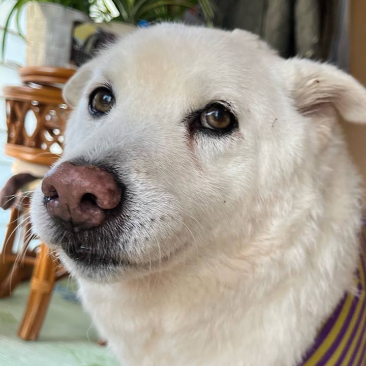 D708a684 16bf 452c 96f2 015fd9110858 1764631662104