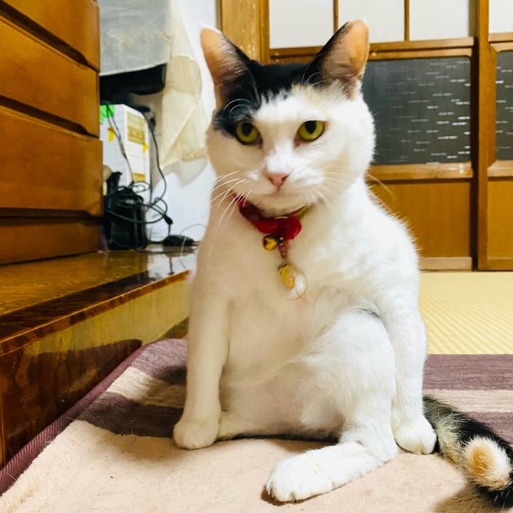 D708abb6 60dc 46be 80d9 2310e4b26645 1755009908043