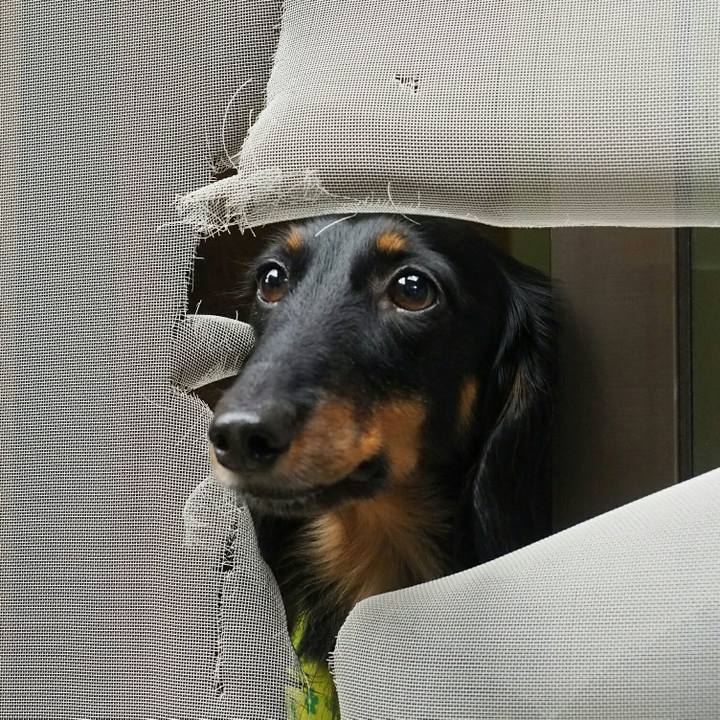 D7091979 5652 466d 852b d330b7cd6c26 1528681349295