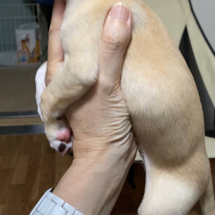 D7091d84 4203 4f80 b8a6 e41371c6c756 1664542126946