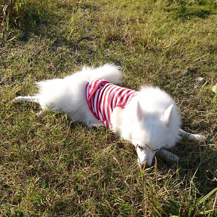 D7092aed 3e59 4de6 8b85 0eeeb348858c 1540710613178