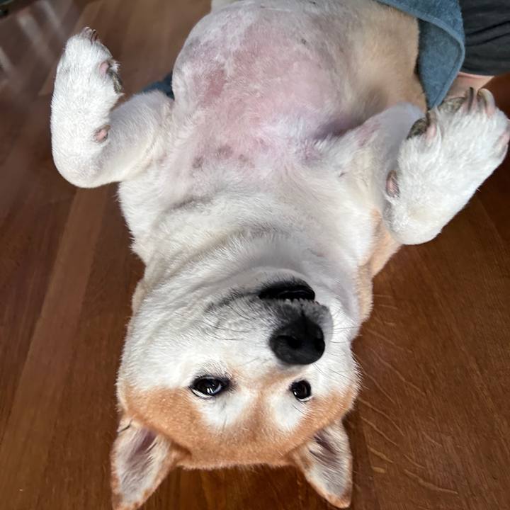 D70944df ae69 4bdf a426 235810407725 1725727296017