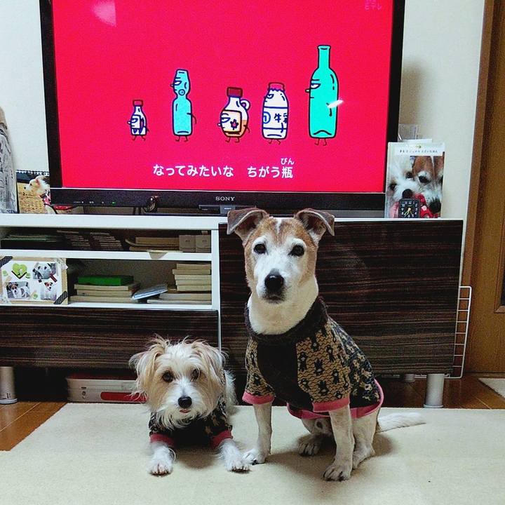 D709812c 277f 4267 ad24 fd7d6723ad8a 1582669303181