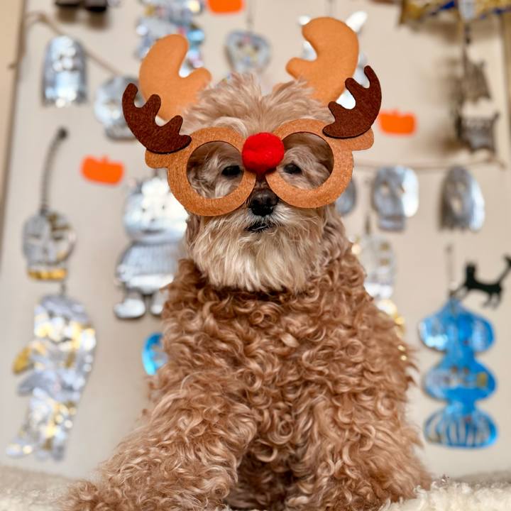 D70983ed 482f 42cc 9891 103dbb1bd284 1765059116057