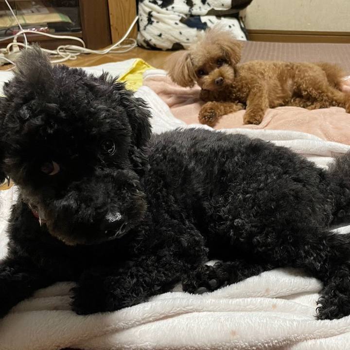 D7098a0f 4a44 49bf a922 ba4deb552b79 1682055595820