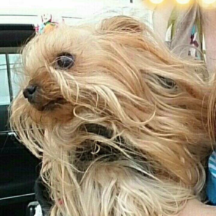 D709a886 4189 4db7 b04e 068d9acfbef1 1535071426998