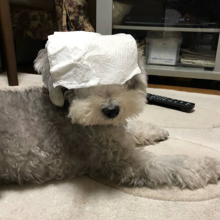 D709c1f6 d054 448b 97e9 dc29587a39f0 1715681322514