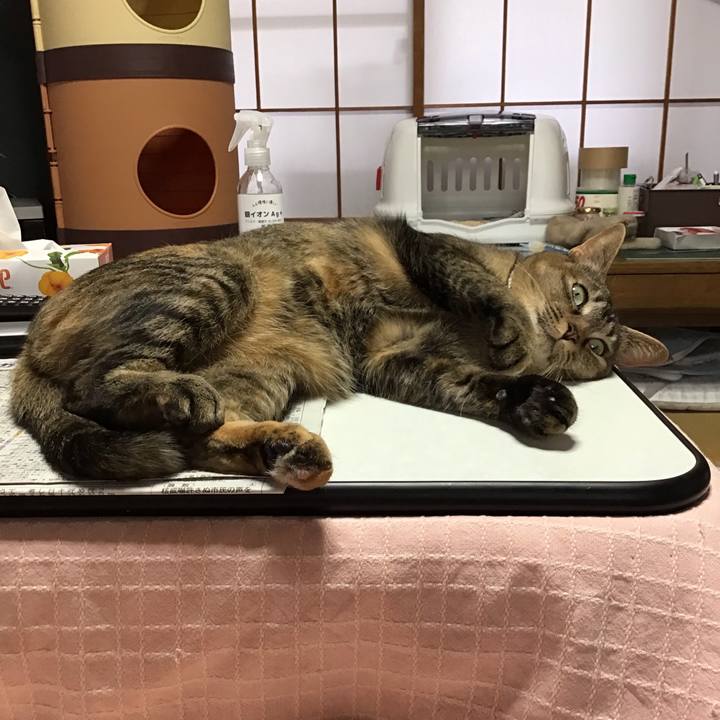 D709ce97 d7f3 42a0 b40c 8b3bc52c16ad 1646348563788