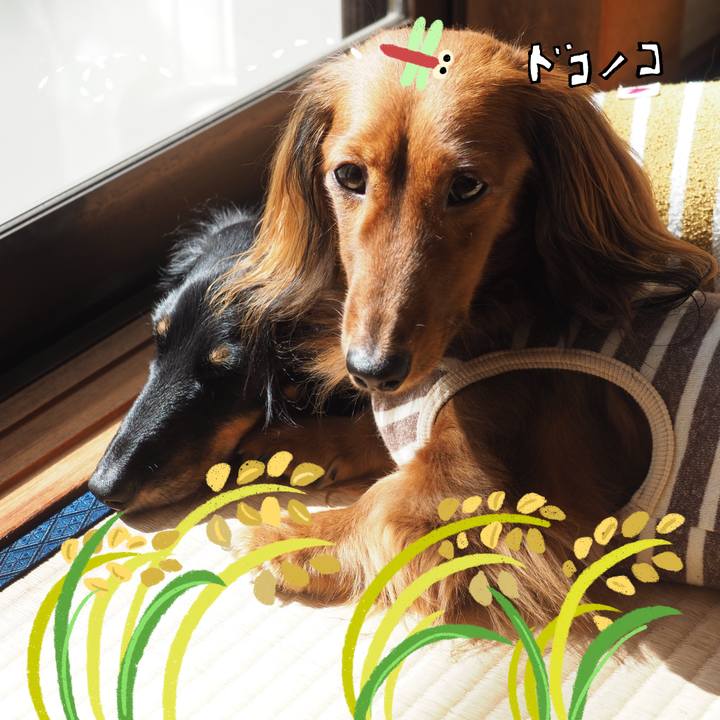 D70a3e10 4551 4a26 9e98 433a8300a646 1761184810858