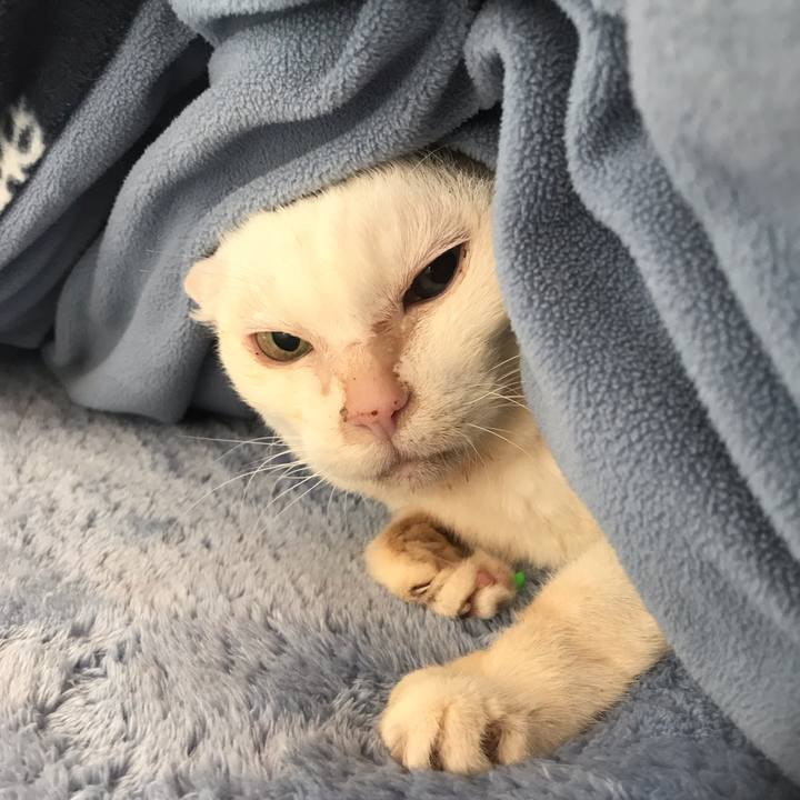 D70a6141 e99b 410b 8c05 be8db2eb5357 1547857690066