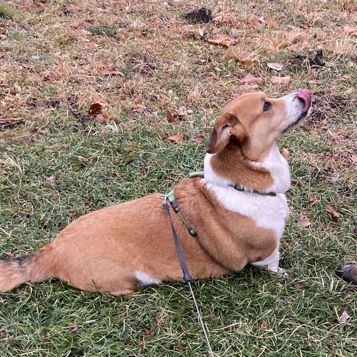 D70a6c2f 3422 4809 8617 3cc3653c0261 1738632568673