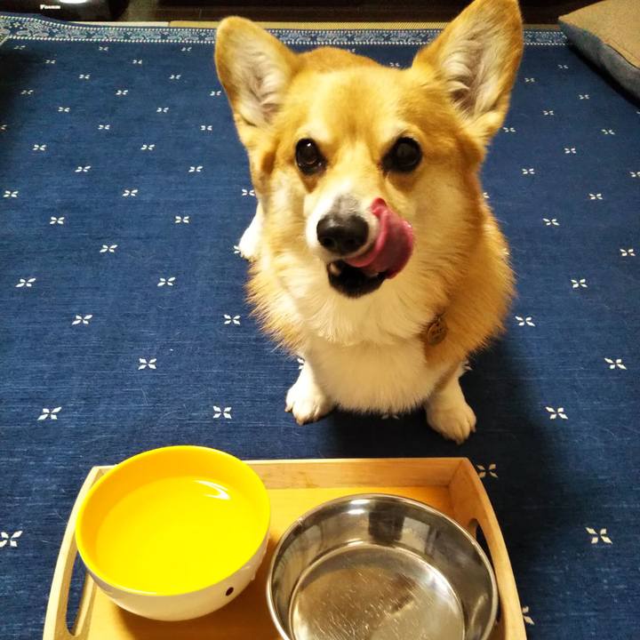 D70a7da4 57a3 4ea2 a654 b5a003b830b2 1609422276582