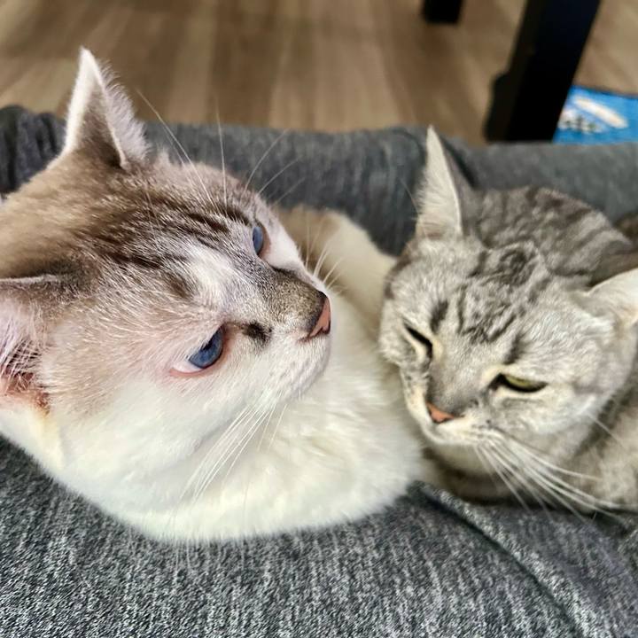 D70a91f9 ad8d 42fc 8257 e373c10b0bcb 1731201507077