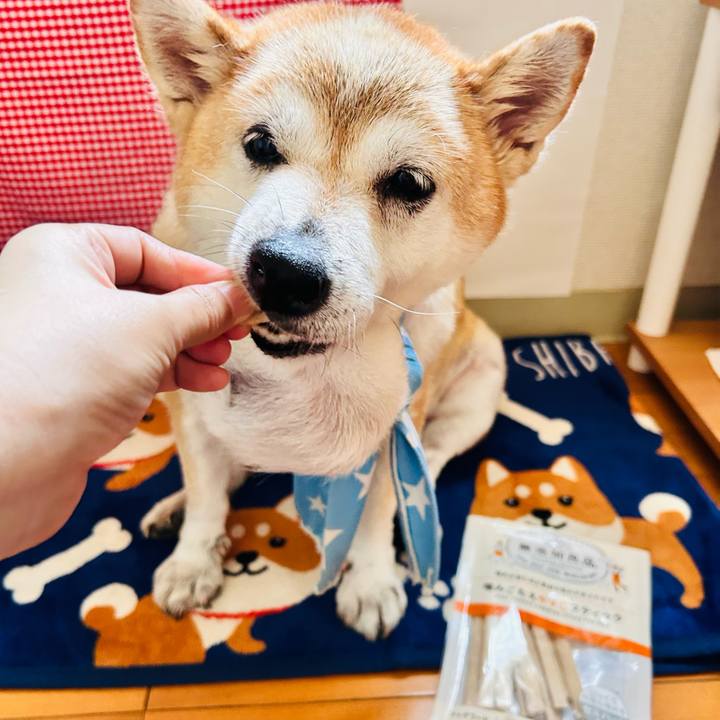 D70ac5fb b1e7 482a 8c64 852fff44c36d 1756179583945