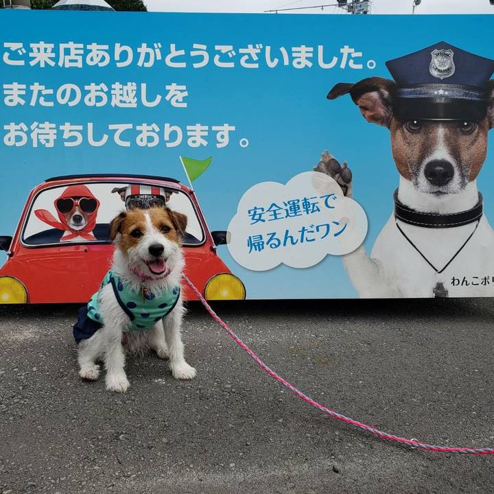 D70b265e c1b2 4c03 b3c4 496c8f89142c 1566789863101