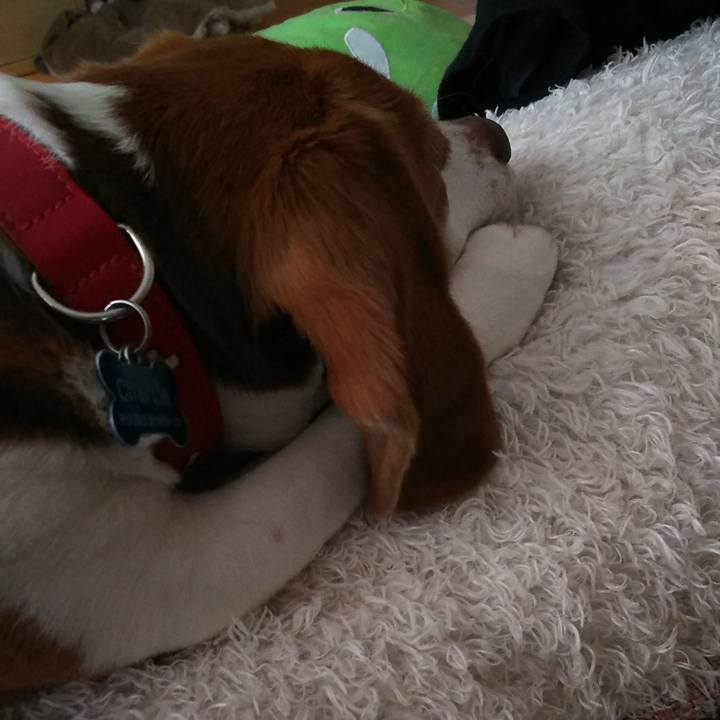 D70b28a0 942e 40f7 aa19 a2e96d2cda92 1619167354205