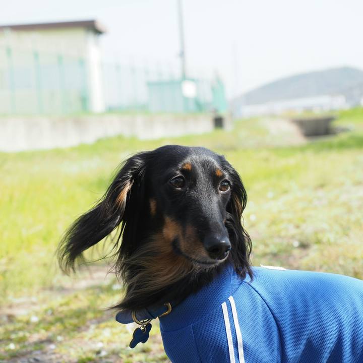 D70b4d7b 299e 46cf 906d 2efb85963351 1554961829677