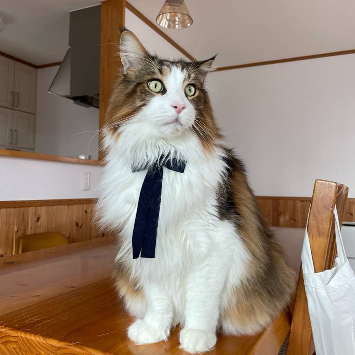 D70b5dc6 5999 4128 aebe 1a706e372538 1770583035669