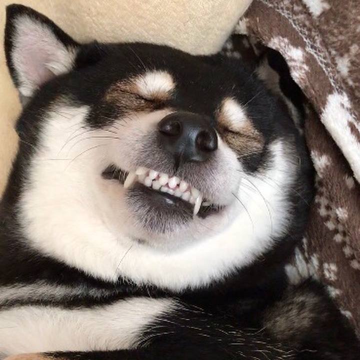 D70b727f 1427 4c9c a8d9 d238d475e5f2 1513922366849