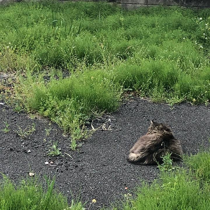 D70b761a 2a55 41e0 b0f6 1cfeb1466040 1555679977512