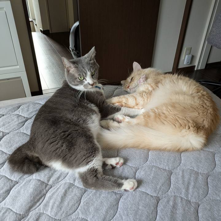 D70b8b6d 8a9a 4288 8435 11cbf8f11e9f 1759026020763